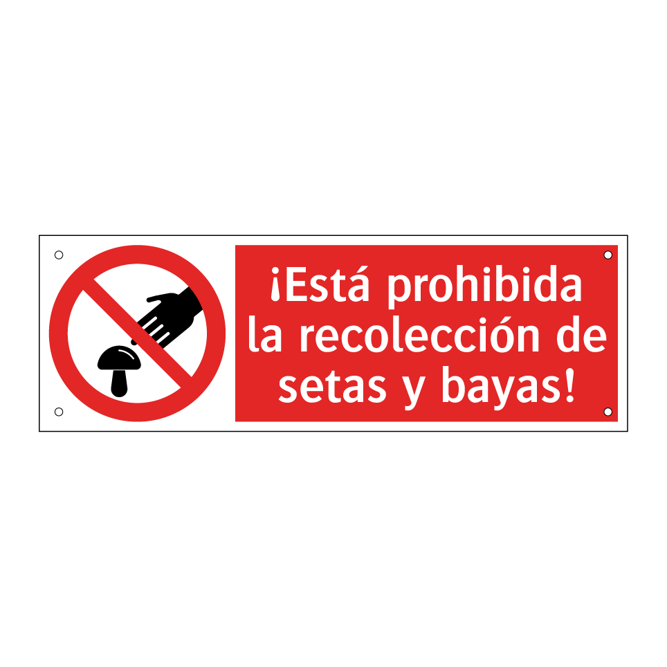 ¡Está prohibida la recolección de setas y bayas!