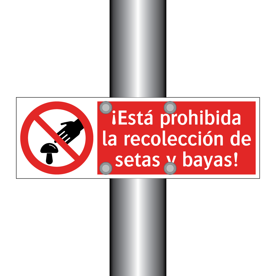 ¡Está prohibida la recolección de setas y bayas!