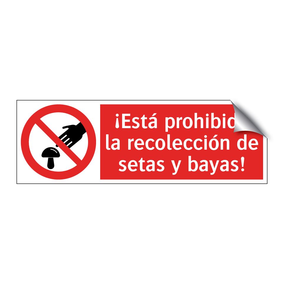 ¡Está prohibida la recolección de setas y bayas!