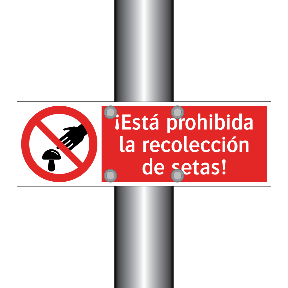¡Está prohibida la recolección de setas!