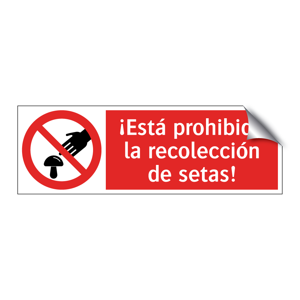¡Está prohibida la recolección de setas!