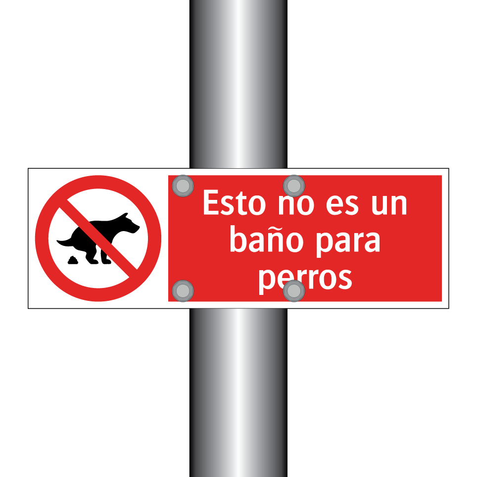 Esto no es un baño para perros