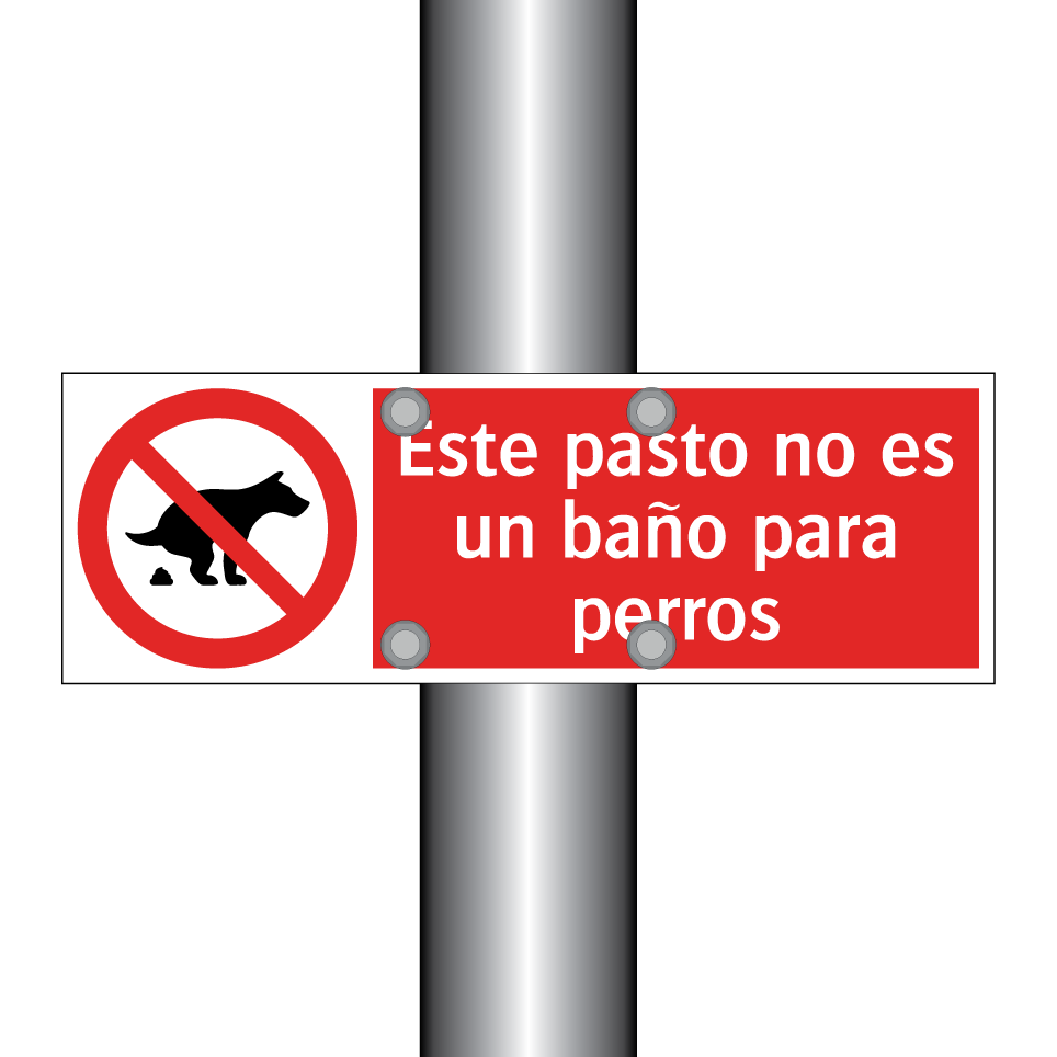 Este pasto no es un baño para perros