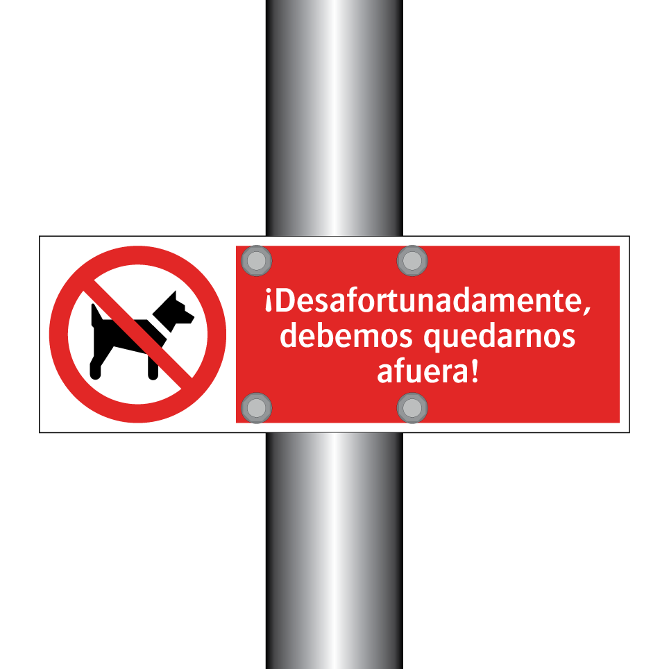¡Desafortunadamente, debemos quedarnos afuera!