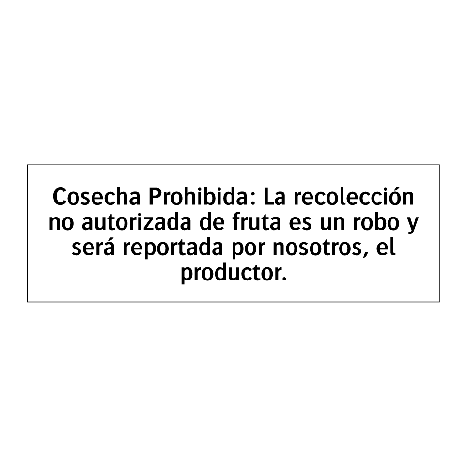 Cosecha Prohibida: La recolección no autorizada de fruta es un robo y será reportada por nosotros, el productor.