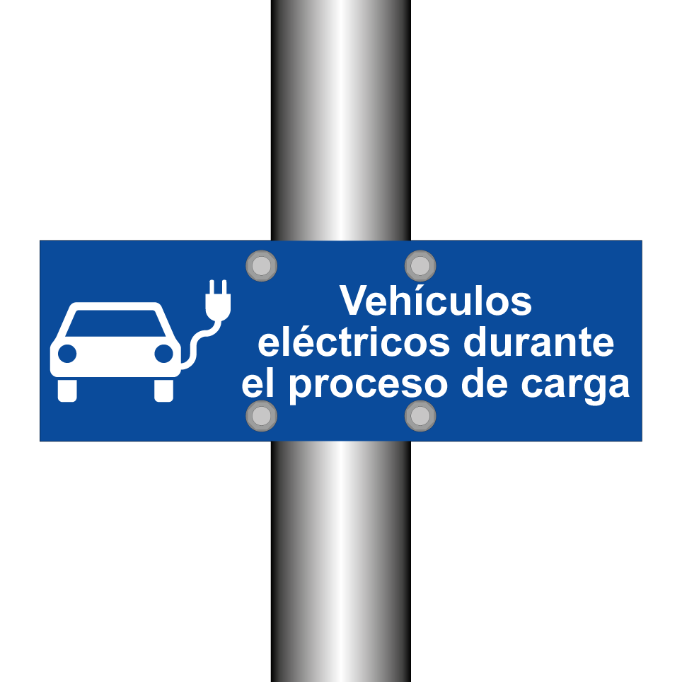 Vehículos eléctricos durante el proceso de carga