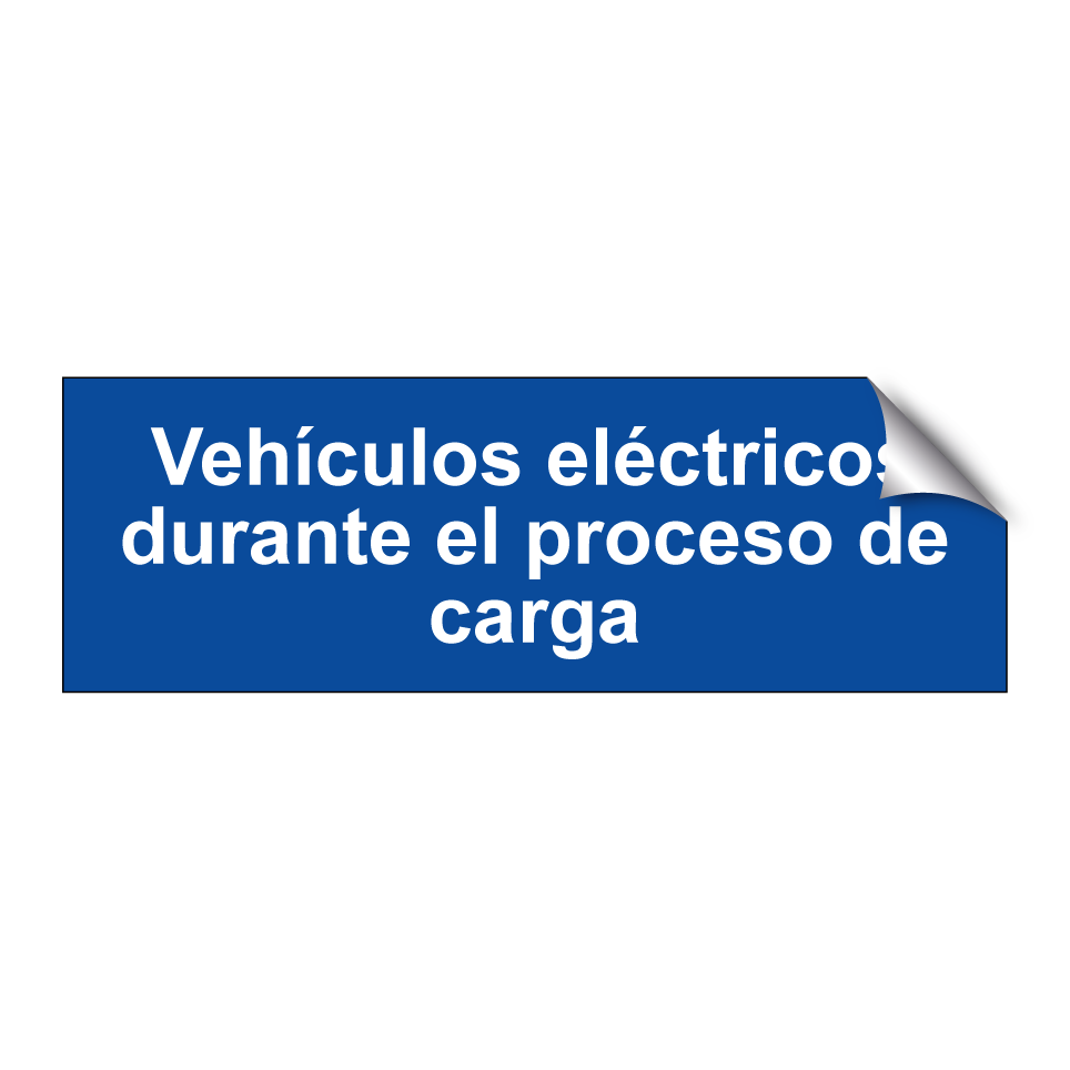 Vehículos eléctricos durante el proceso de carga