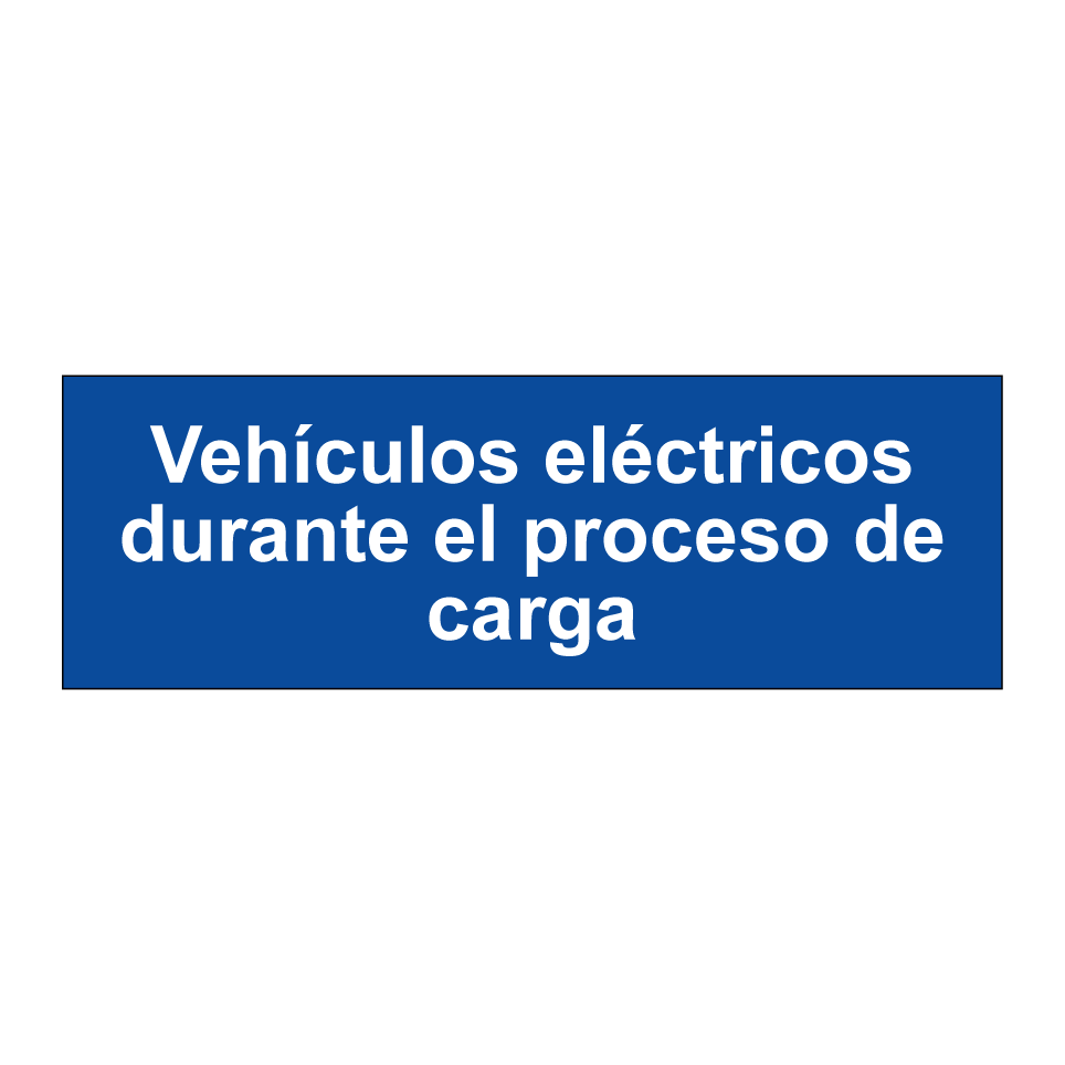 Vehículos eléctricos durante el proceso de carga