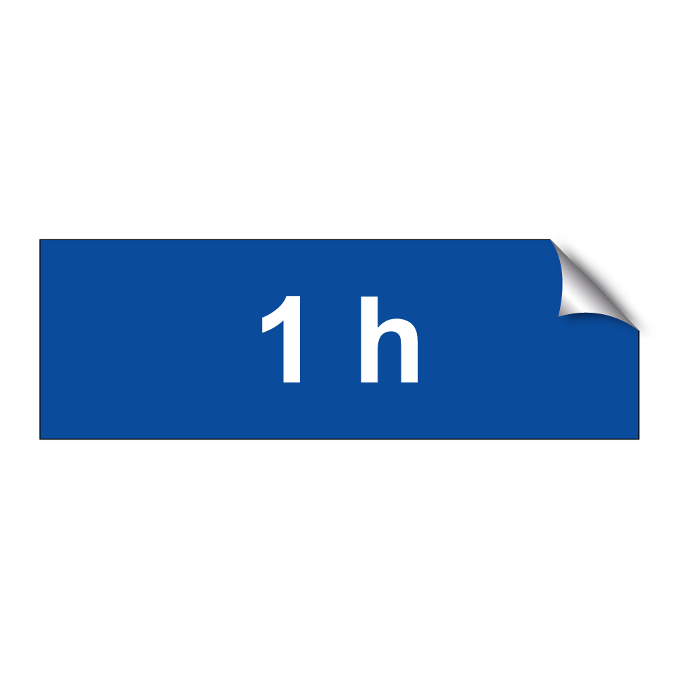 1 h