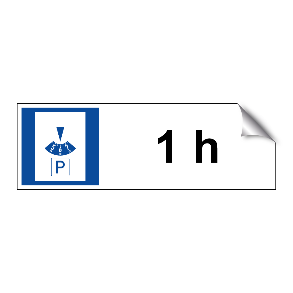 1 h