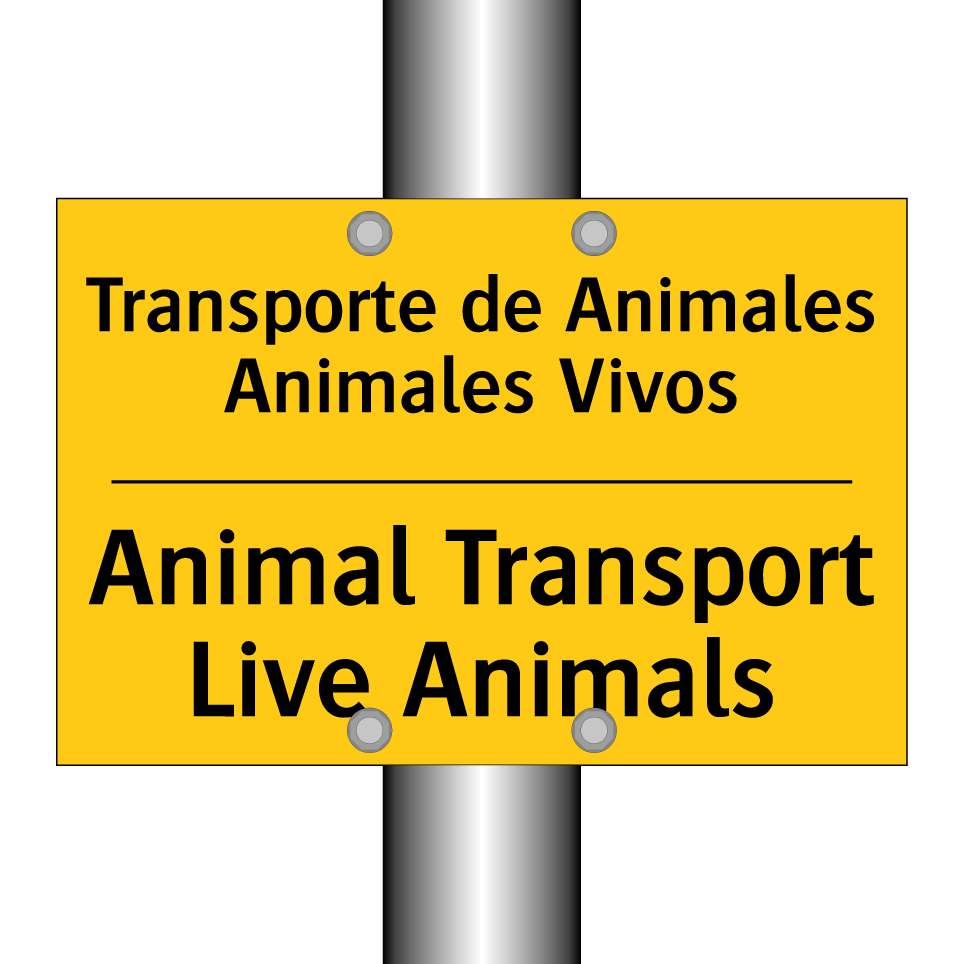 Transporte de Animales Animales Vivos - Animal Transport Live Animals