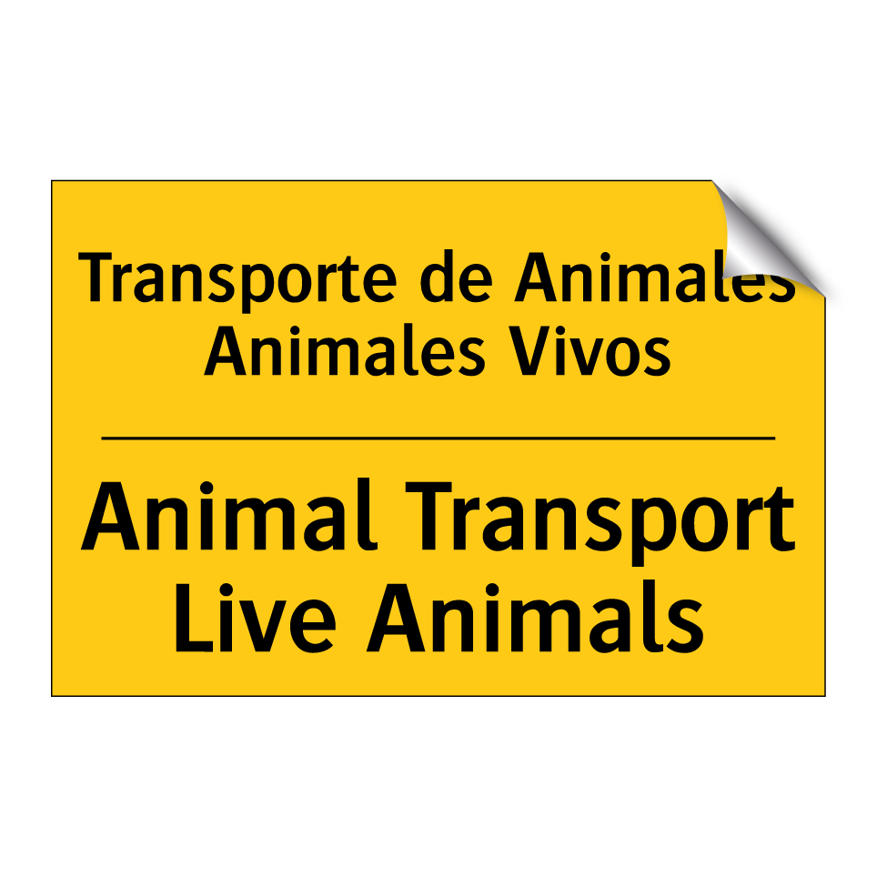 Transporte de Animales Animales Vivos - Animal Transport Live Animals