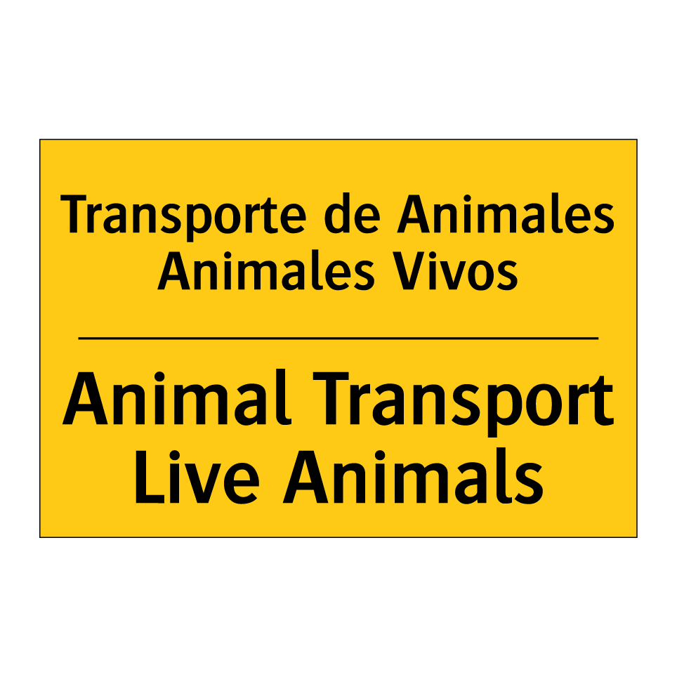 Transporte de Animales Animales Vivos - Animal Transport Live Animals