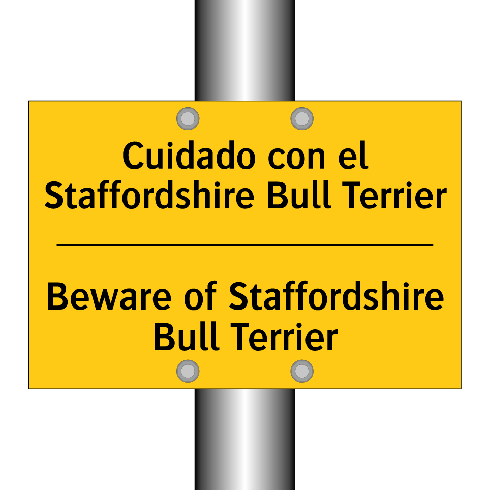 Cuidado con el Staffordshire Bull Terrier - Beware of Staffordshire Bull Terrier