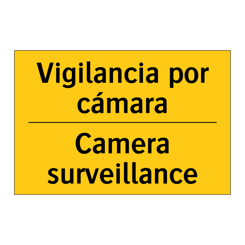 Vigilancia por cámara - Camera surveillance