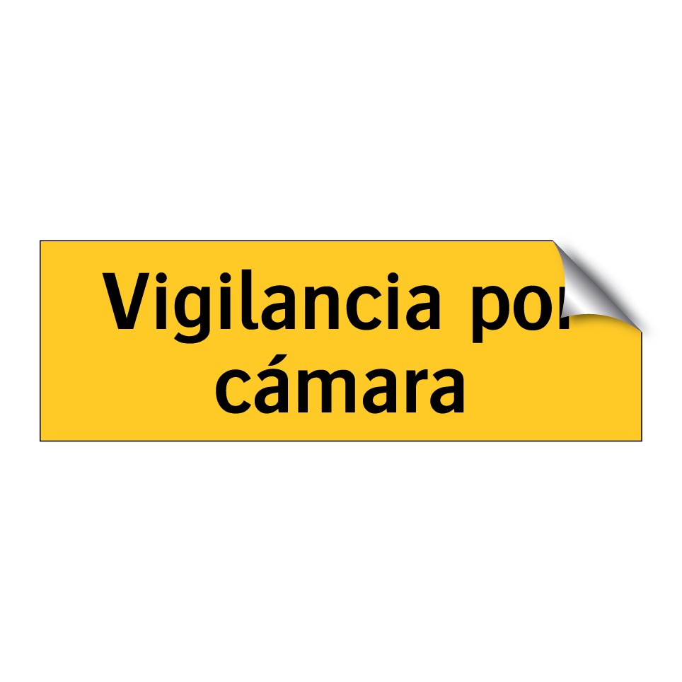 Vigilancia por cámara