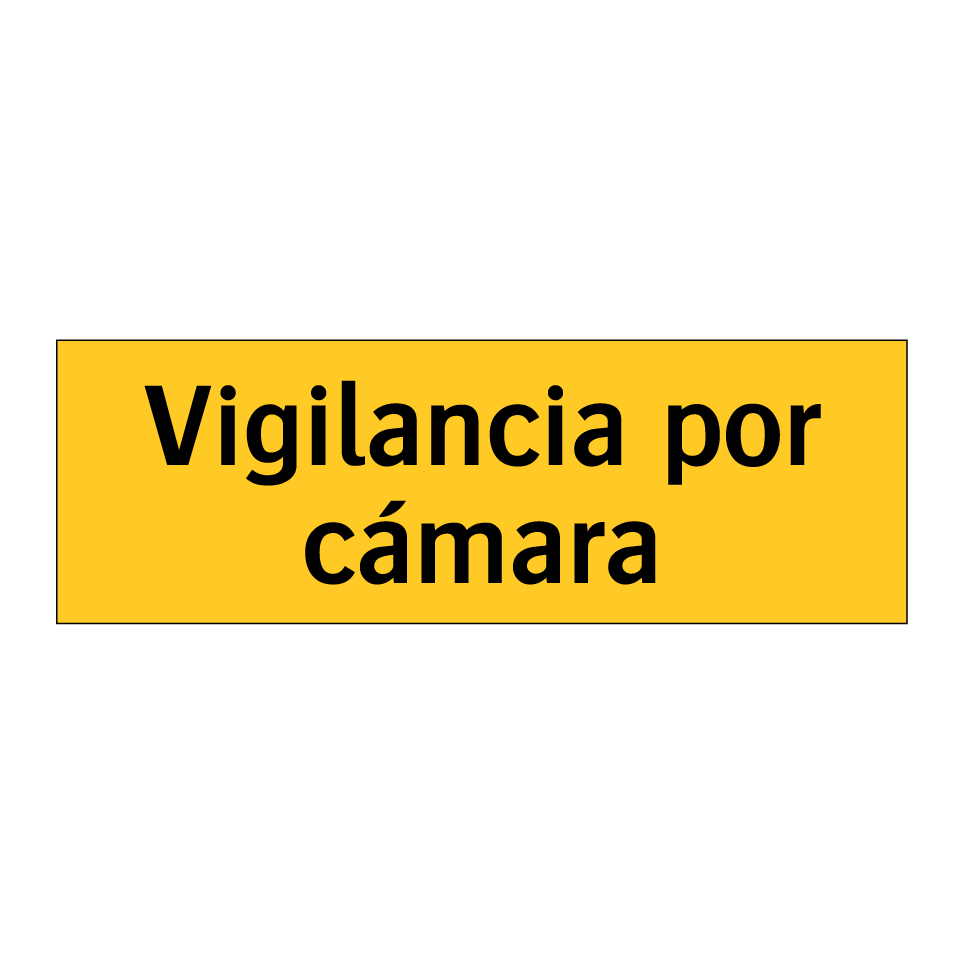 Vigilancia por cámara