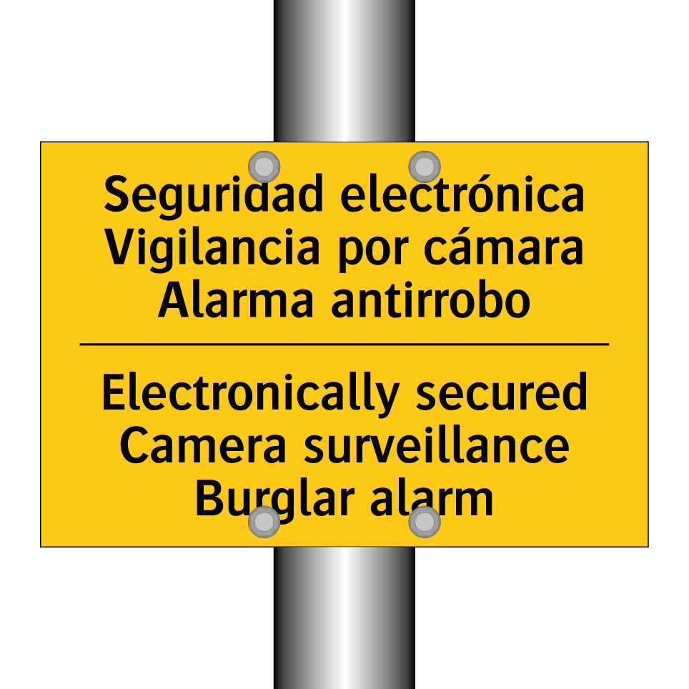 Seguridad electrónica Vigilancia por cámara Alarma antirrobo - Electronically secured Camera surveillance Burglar alarm