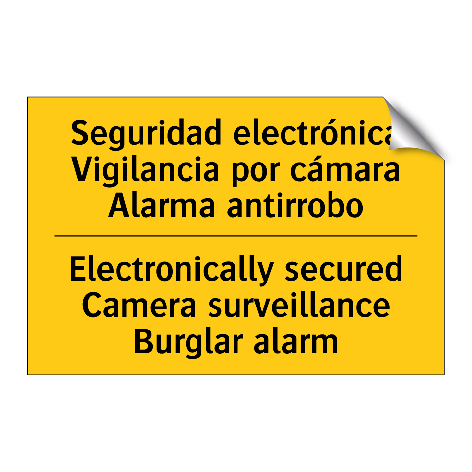 Seguridad electrónica Vigilancia por cámara Alarma antirrobo - Electronically secured Camera surveillance Burglar alarm