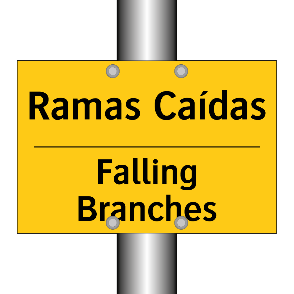 Ramas Caídas - Falling Branches