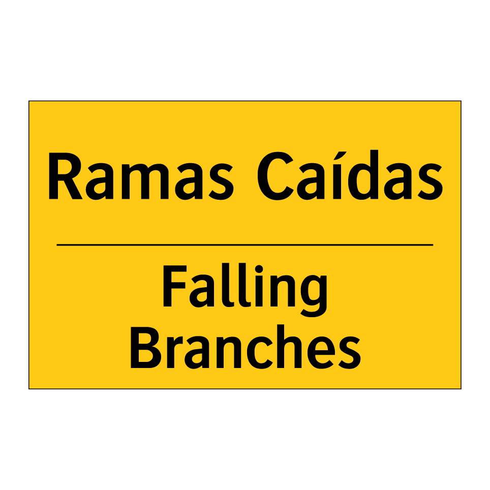 Ramas Caídas - Falling Branches