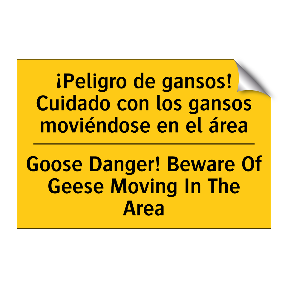 ¡Peligro de gansos! Cuidado con los gansos moviéndose en el área - Goose Danger! Beware Of Geese Moving In The Area
