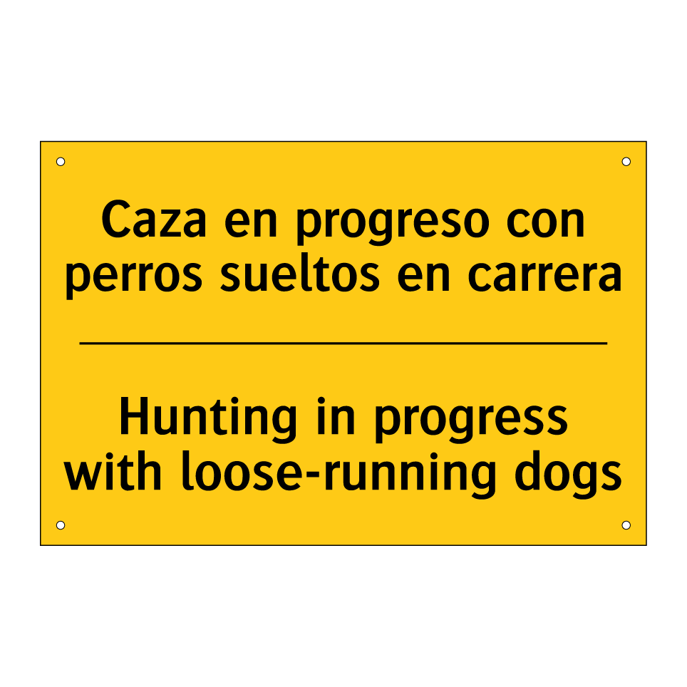 Caza en progreso con perros sueltos en carrera - Hunting in progress with loose-running dogs