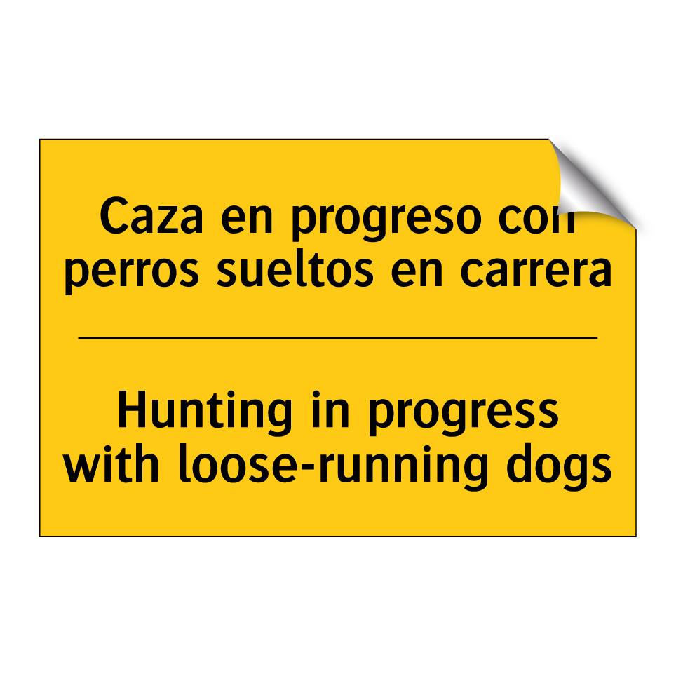 Caza en progreso con perros sueltos en carrera - Hunting in progress with loose-running dogs