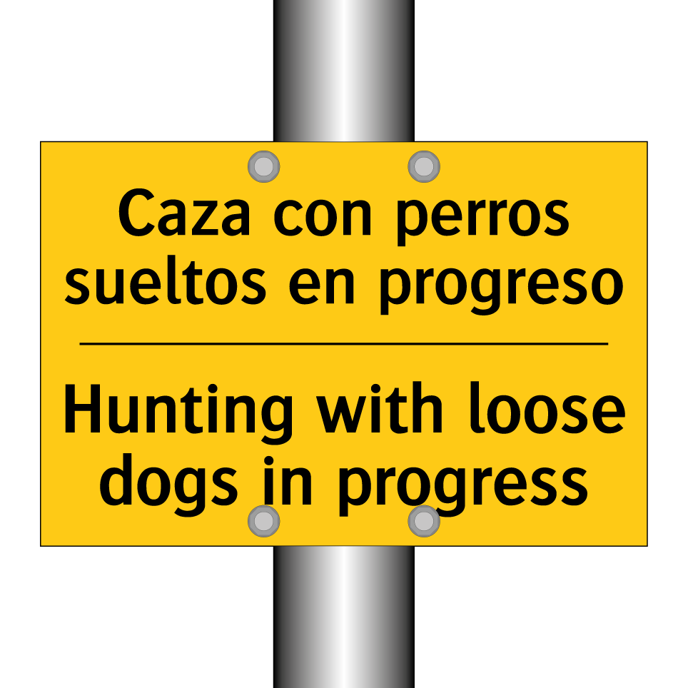 Caza con perros sueltos en progreso - Hunting with loose dogs in progress