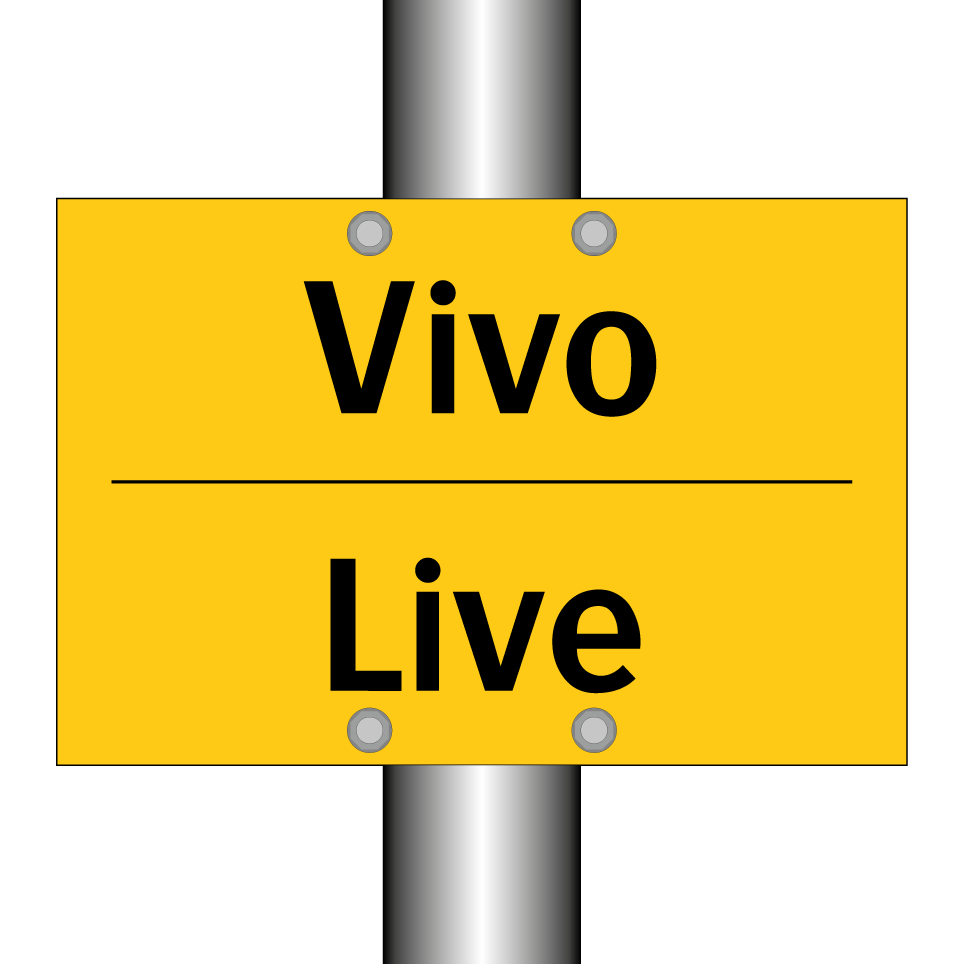 Vivo - Live