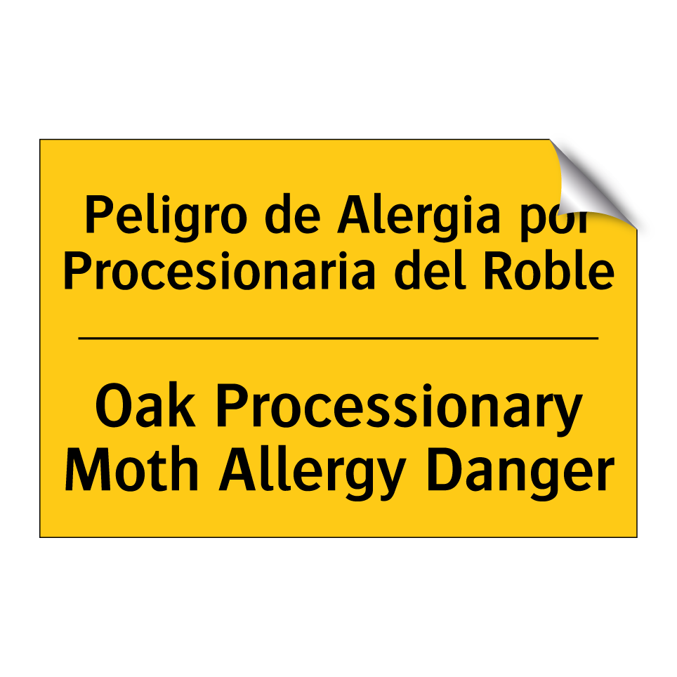 Peligro de Alergia por Procesionaria del Roble - Oak Processionary Moth Allergy Danger