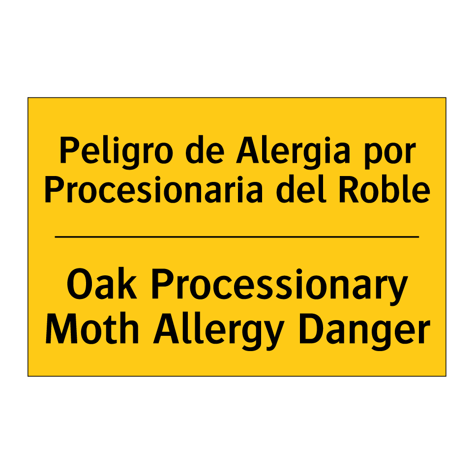 Peligro de Alergia por Procesionaria del Roble - Oak Processionary Moth Allergy Danger