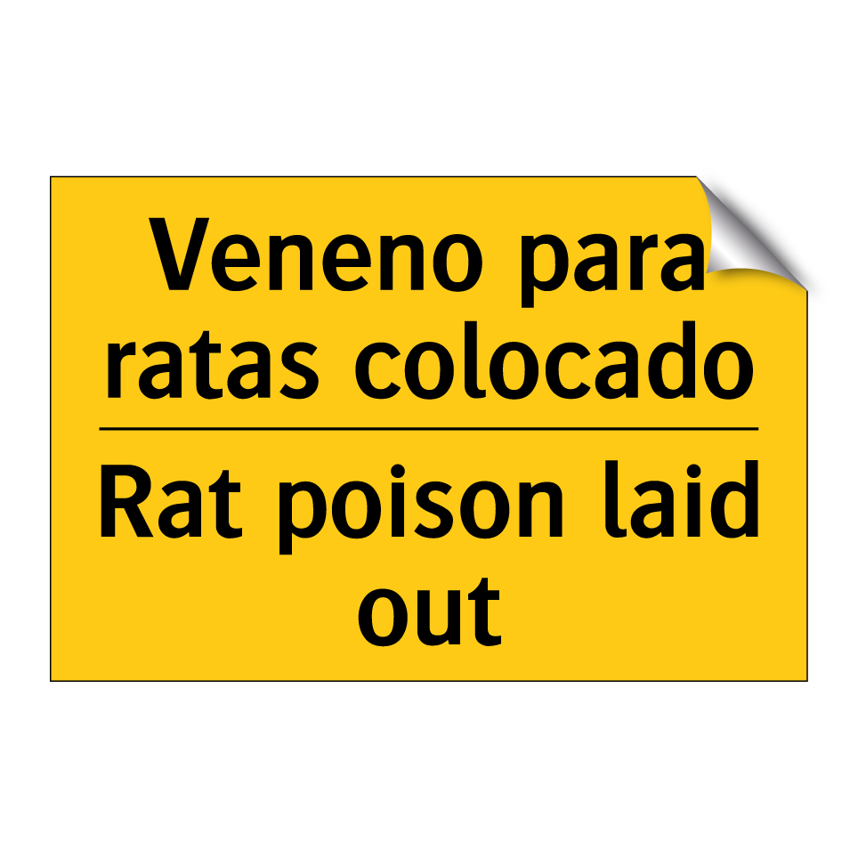 Veneno para ratas colocado - Rat poison laid out