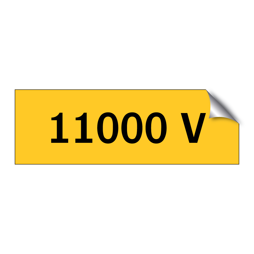 11000 V