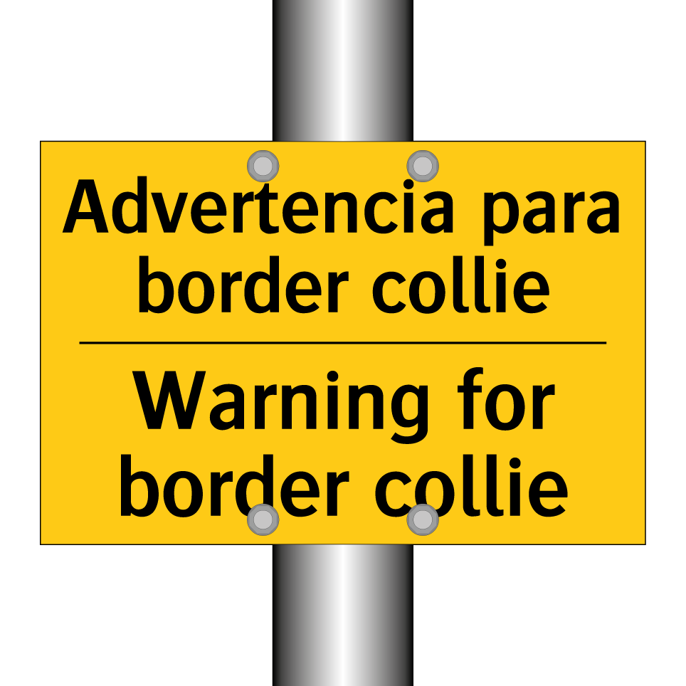 Advertencia para border collie - Warning for border collie