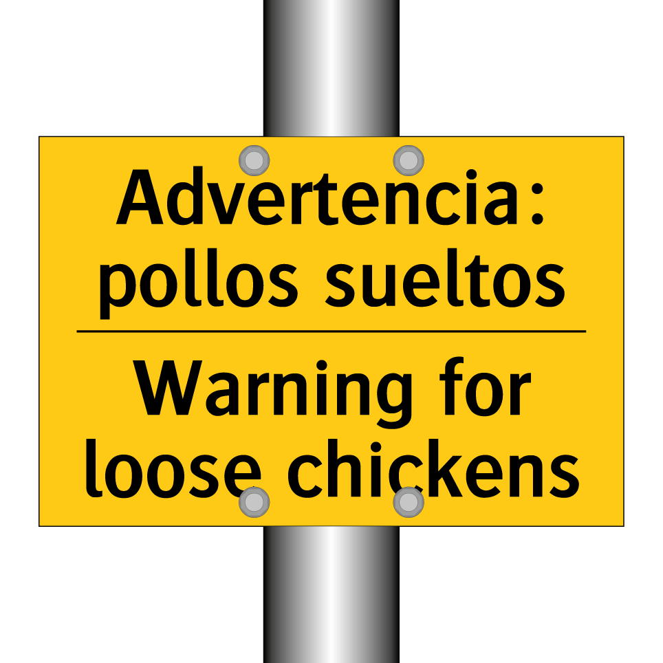 Advertencia: pollos sueltos - Warning for loose chickens