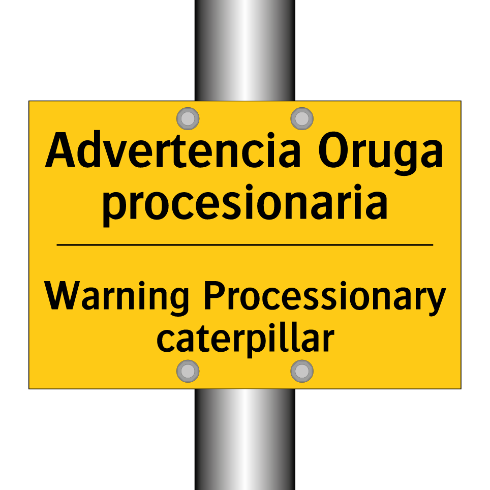 Advertencia Oruga procesionaria - Warning Processionary caterpillar