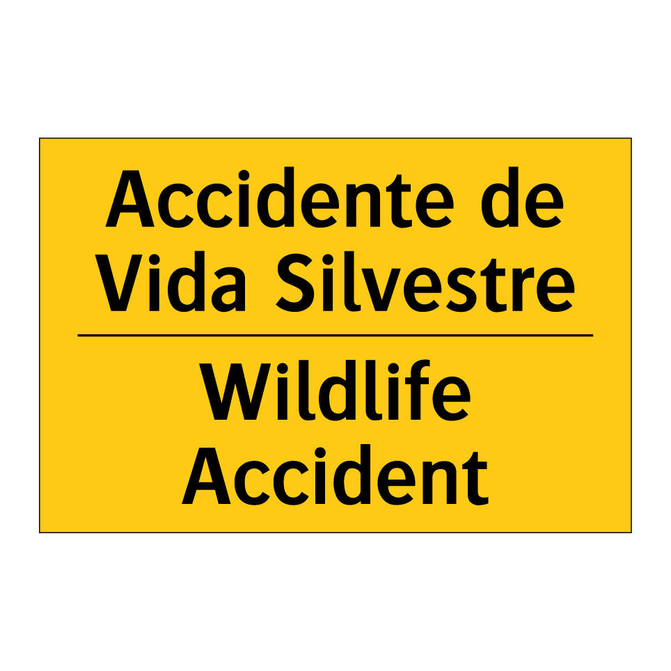Accidente de Vida Silvestre - Wildlife Accident