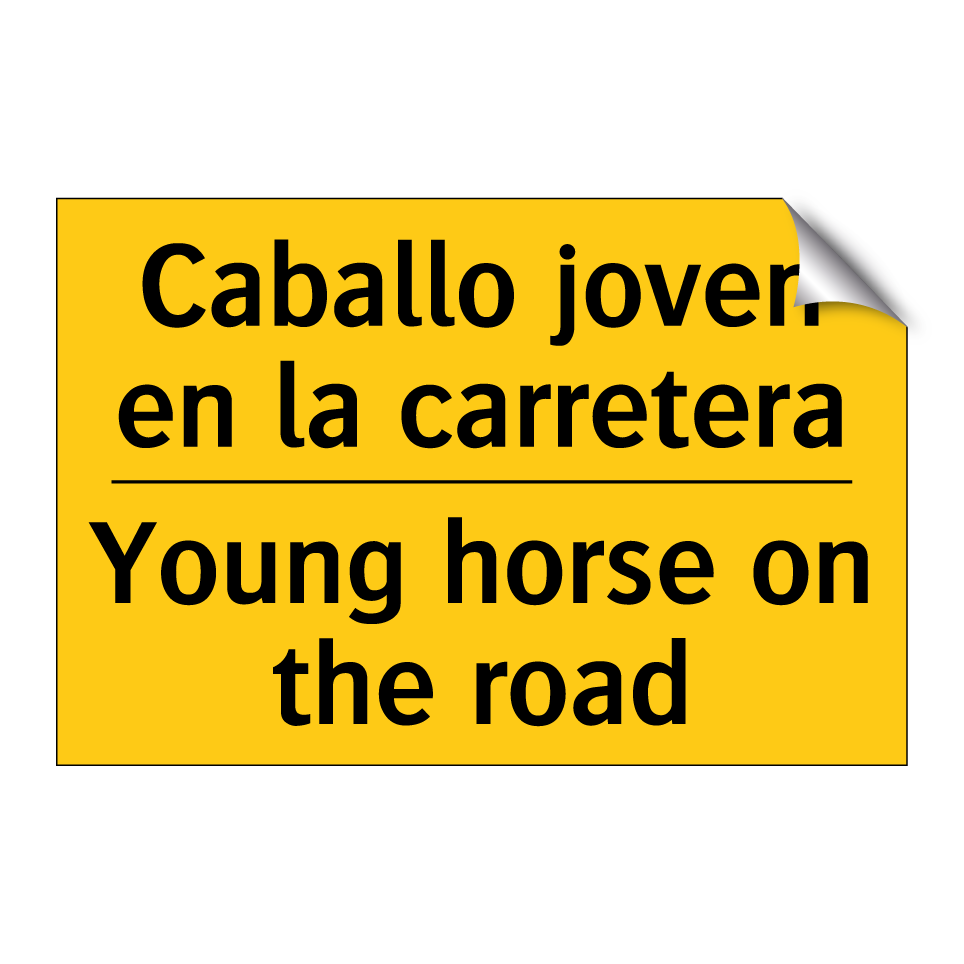 Caballo joven en la carretera - Young horse on the road