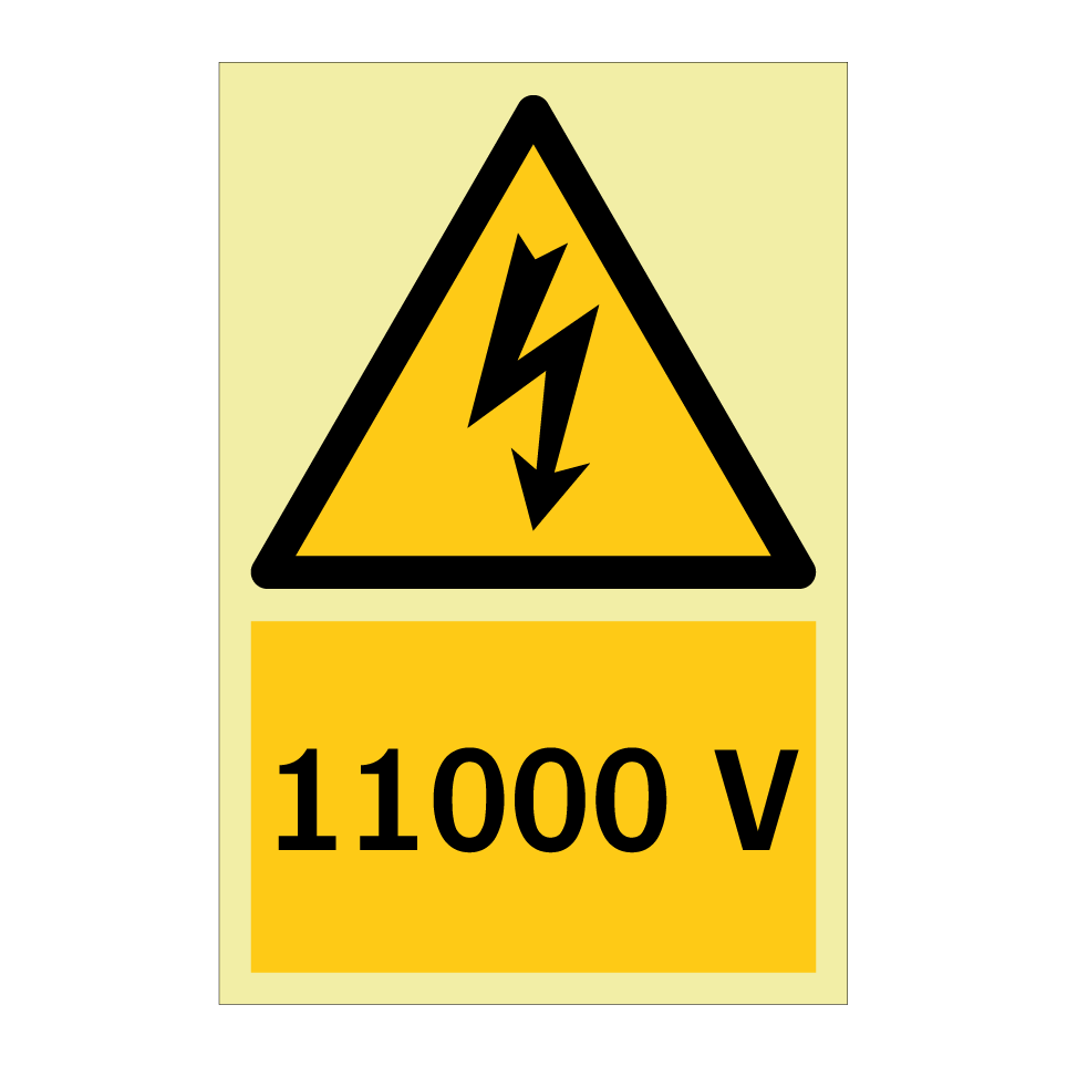 11000 V