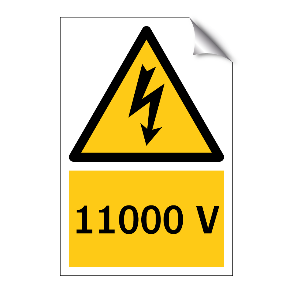 11000 V