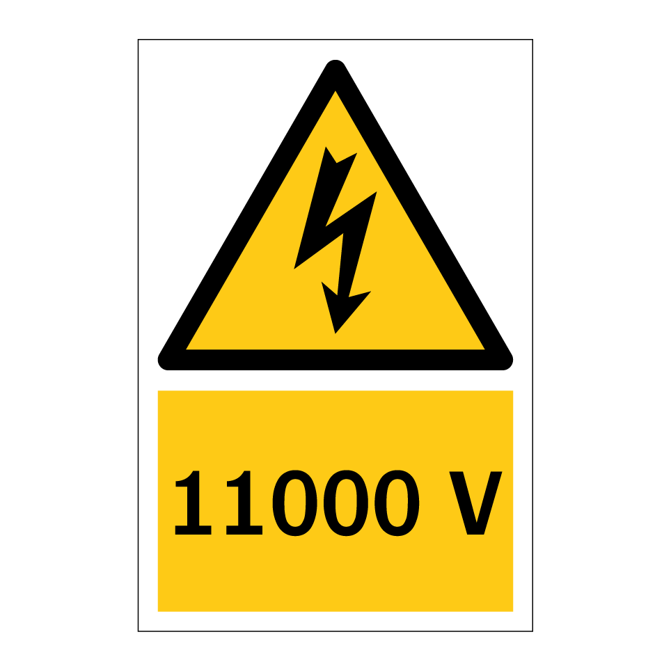 11000 V