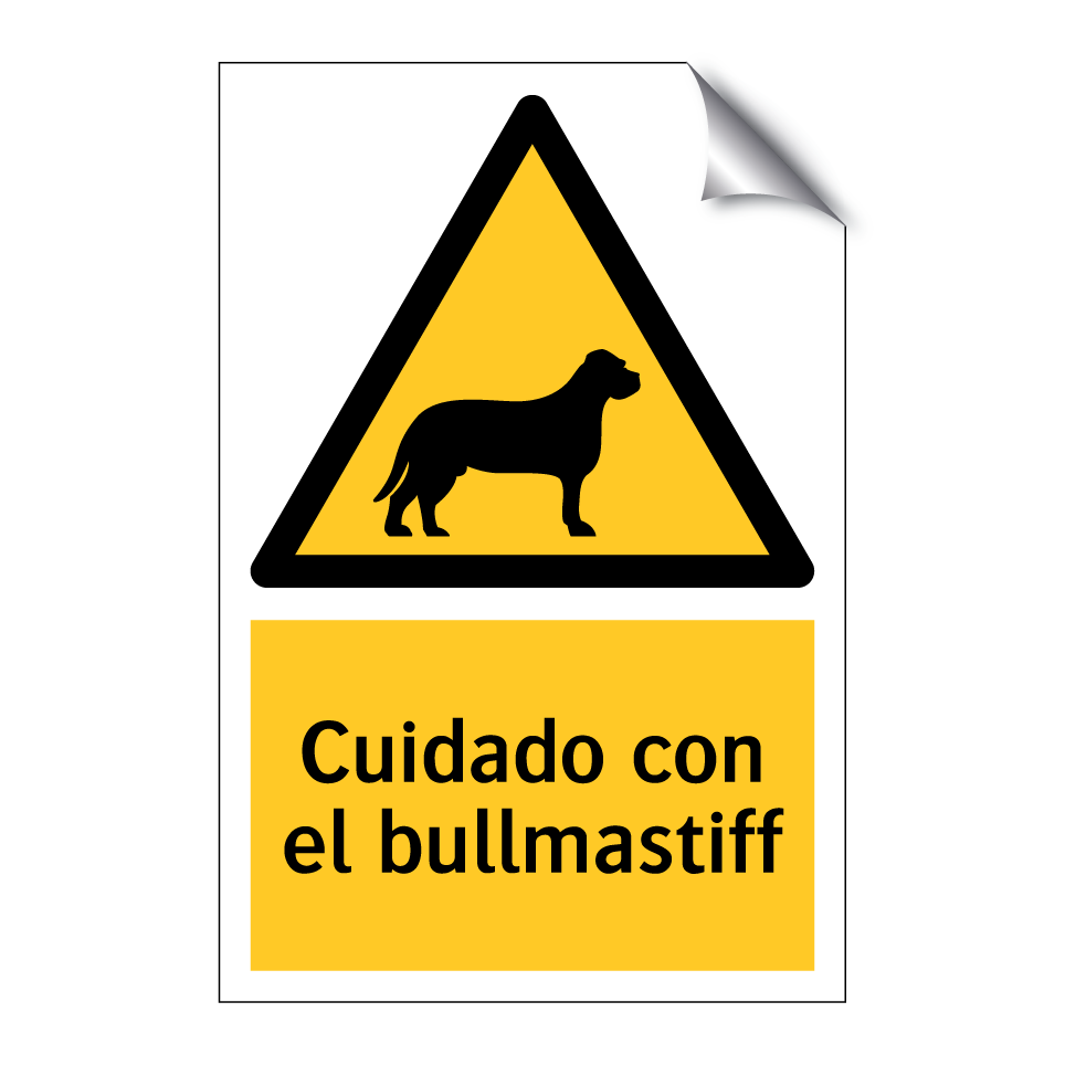 Cuidado con el bullmastiff