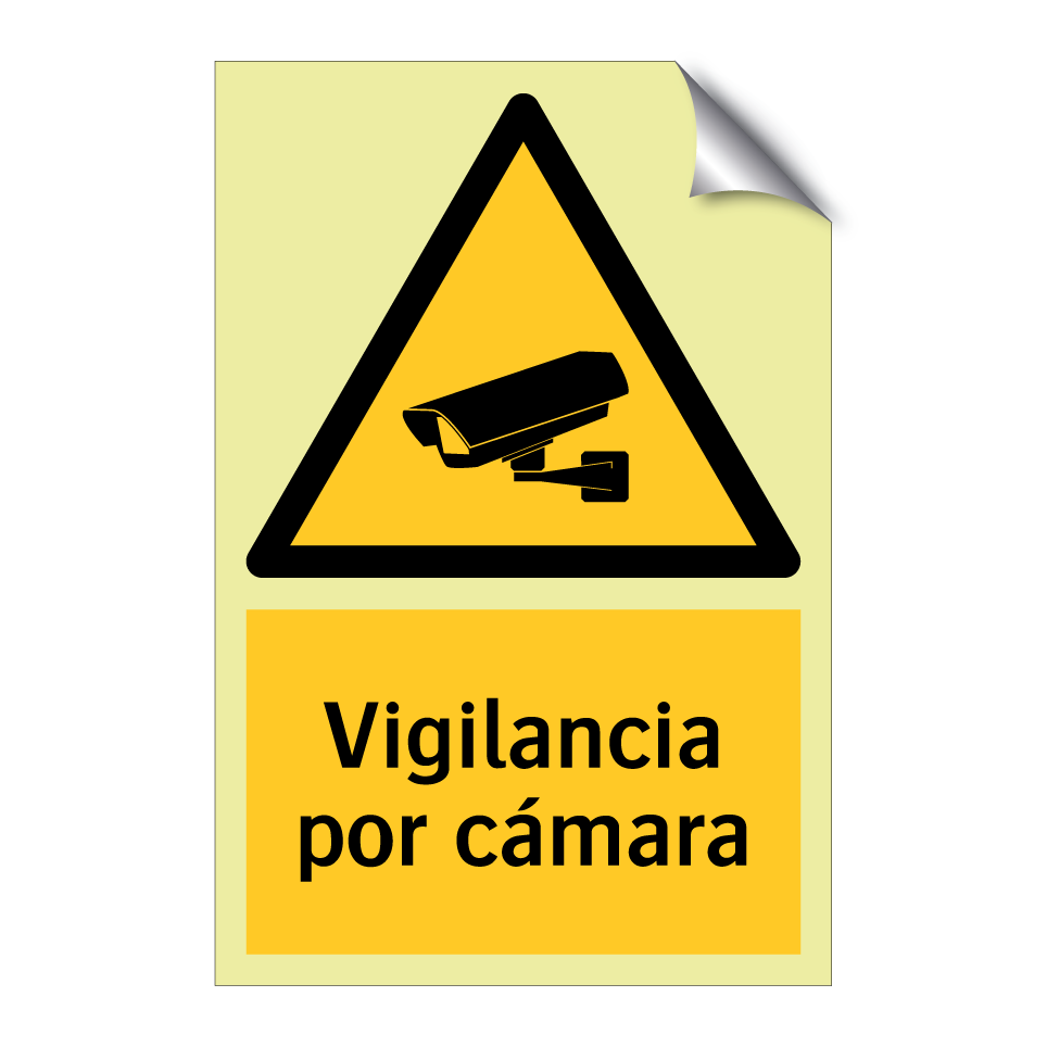 Vigilancia por cámara