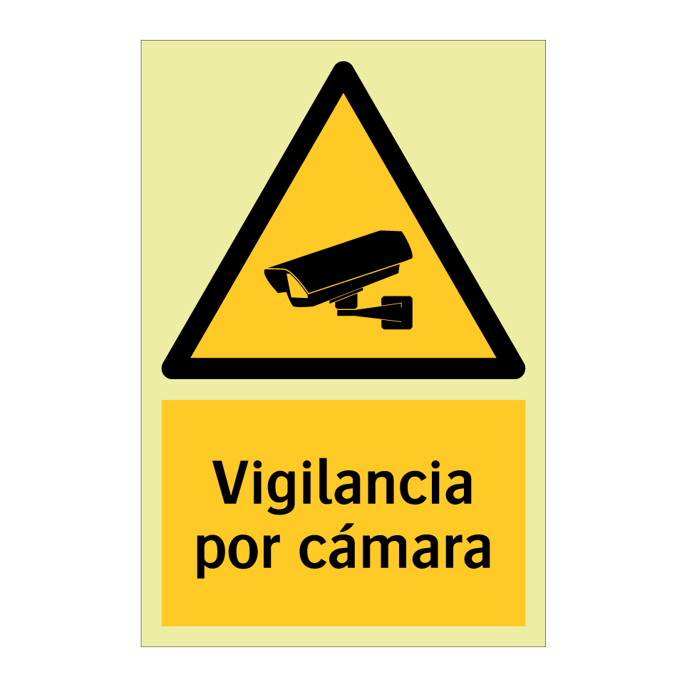Vigilancia por cámara