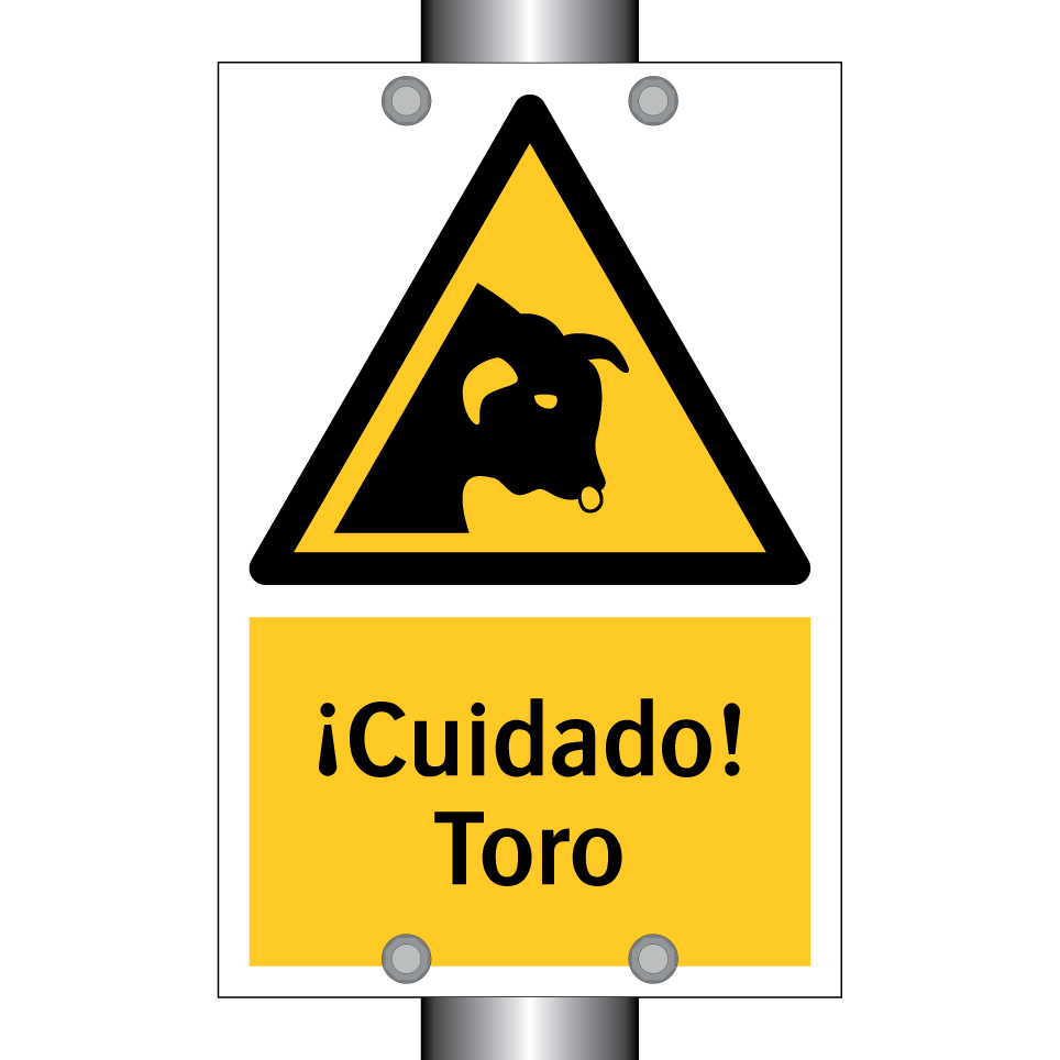 ¡Cuidado! Toro