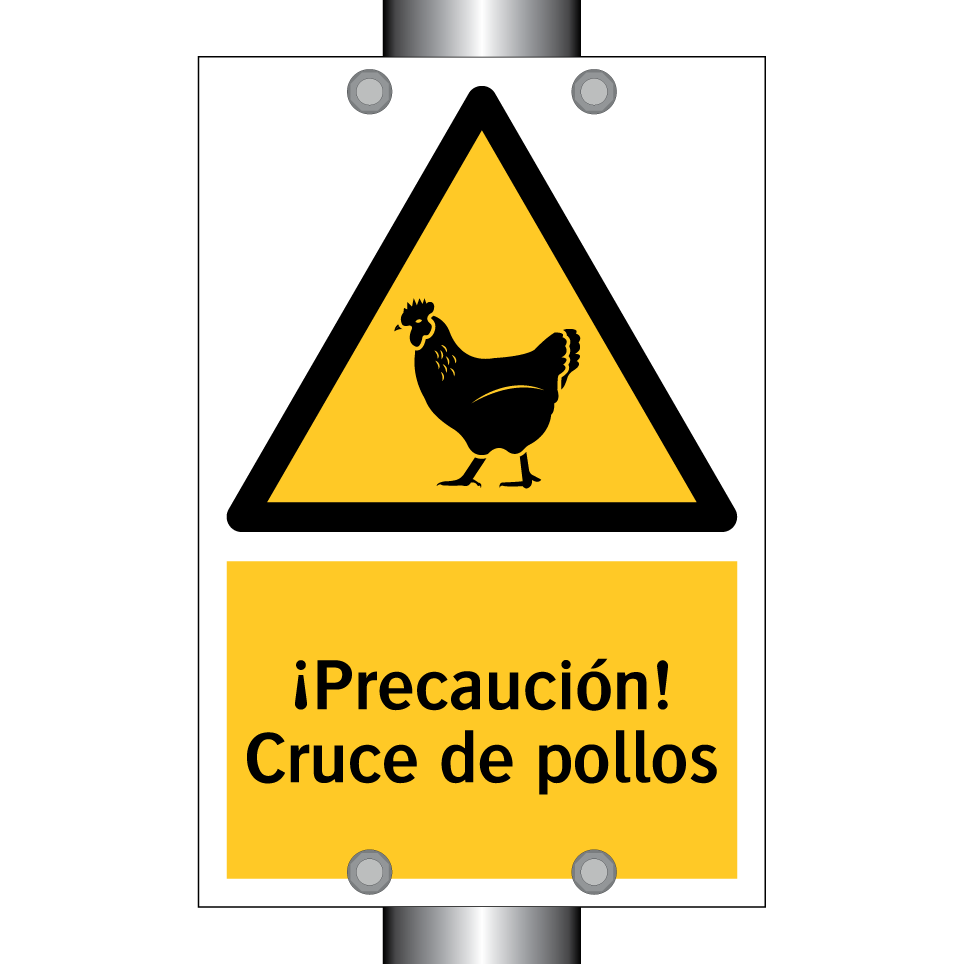 ¡Precaución! Cruce de pollos