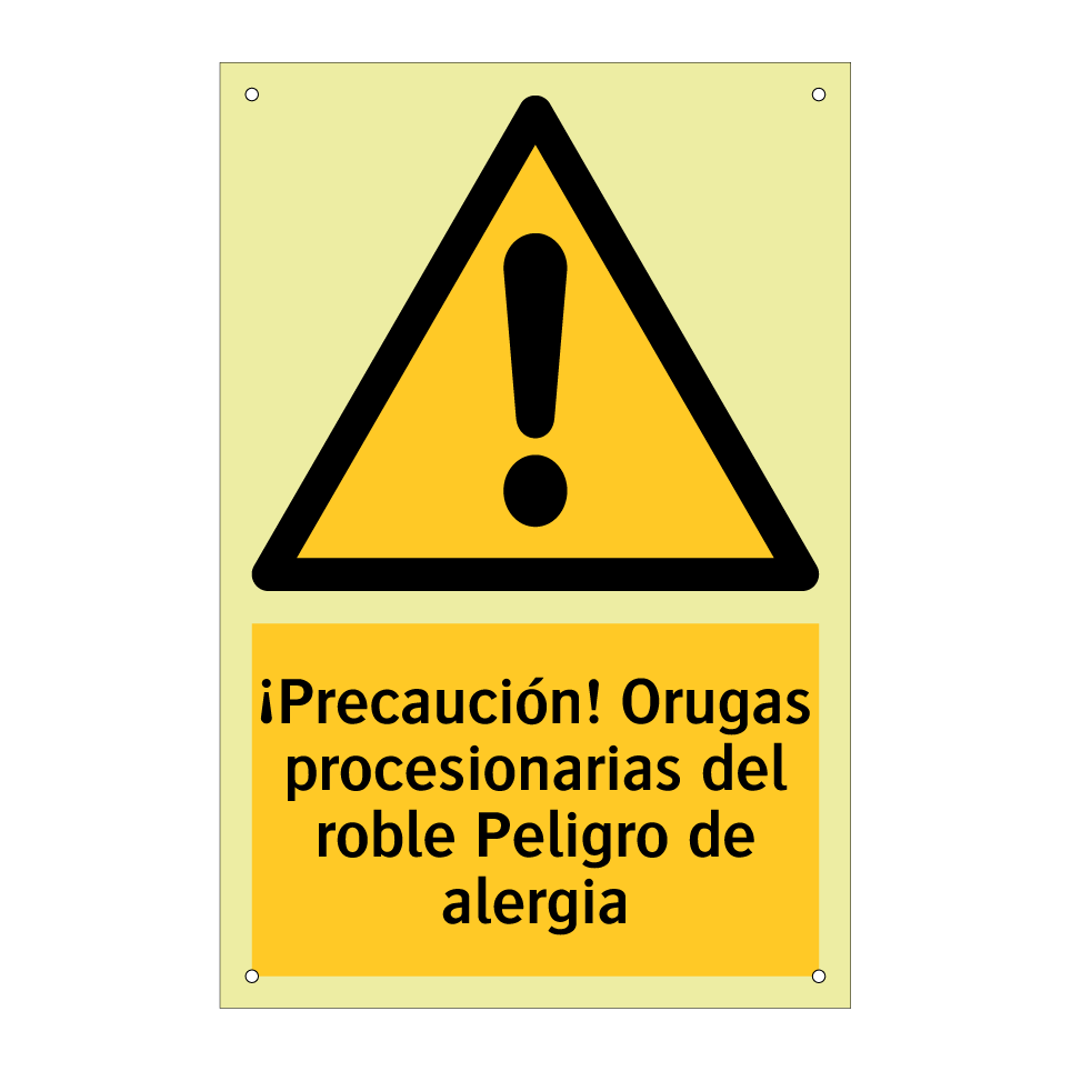 ¡Precaución! Orugas procesionarias del roble Peligro de alergia
