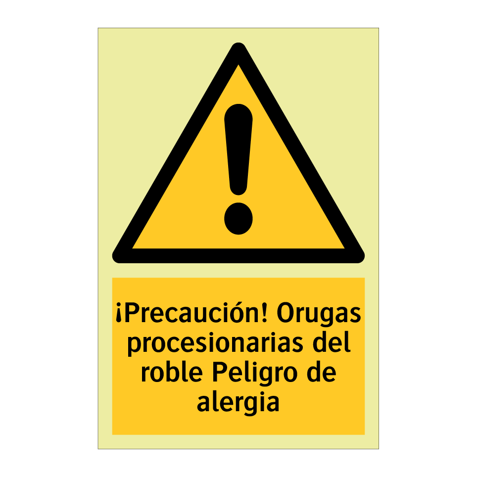 ¡Precaución! Orugas procesionarias del roble Peligro de alergia