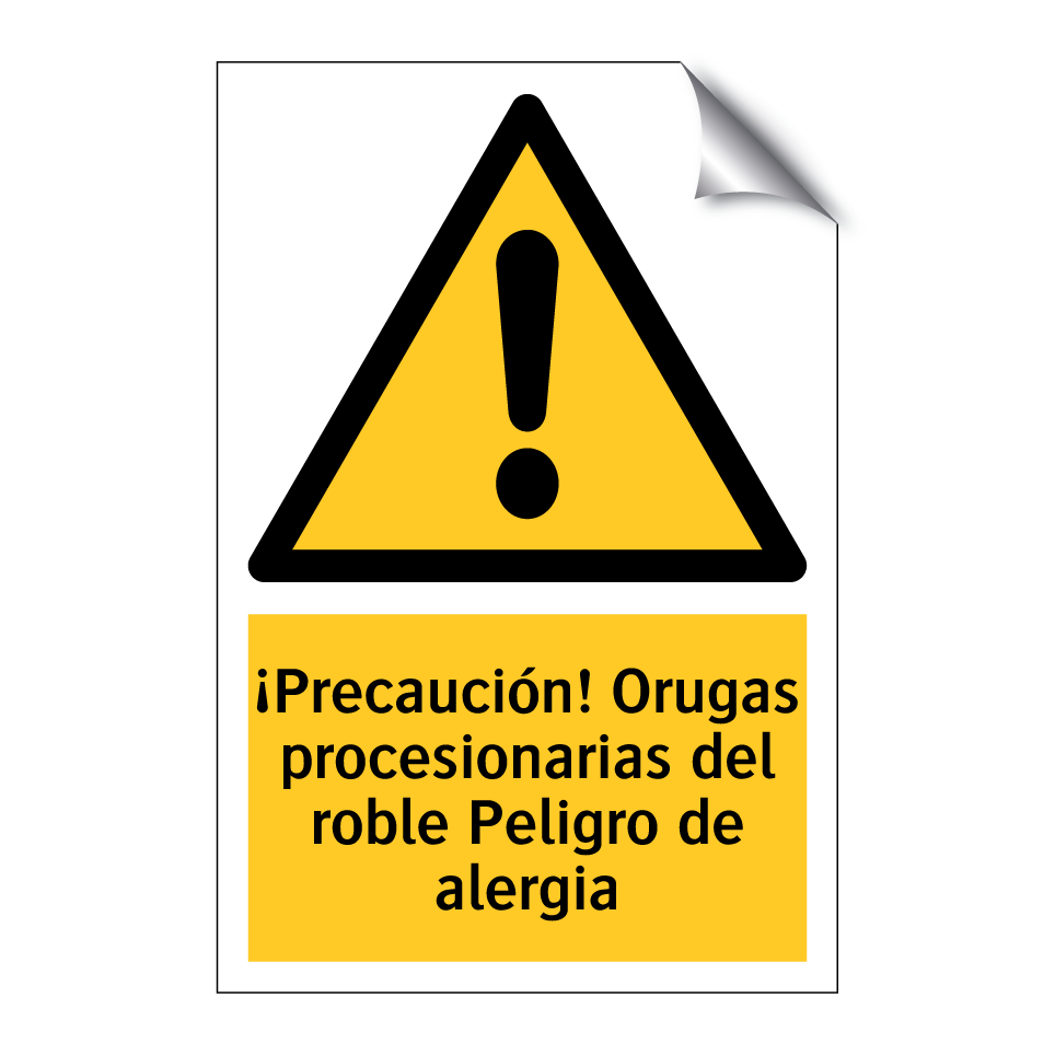 ¡Precaución! Orugas procesionarias del roble Peligro de alergia